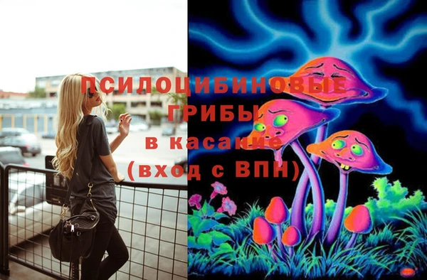 Альфа ПВП Верея