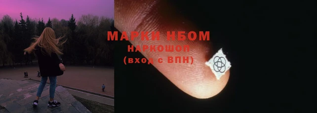 СК Бронницы