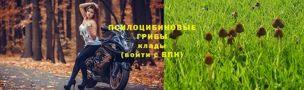Альфа ПВП Верея