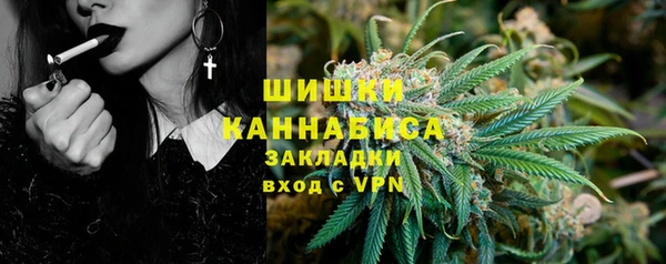 Альфа ПВП Верея