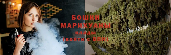 СК Бронницы
