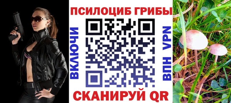 Галлюциногенные грибы Psilocybine cubensis  Купить  Называевск 